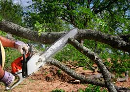 Best Leaf Removal  in Tipton, IA